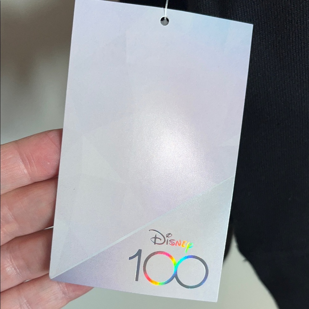 Disney 100 Anniversary Black Hoodie Colorful Character Design - Picture 4 of 9